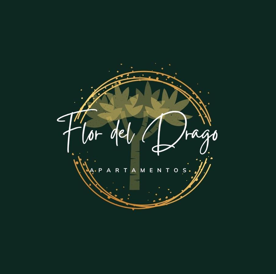 Apartmán Flor Del Drago Icod De Los Vinos Exteriér fotografie